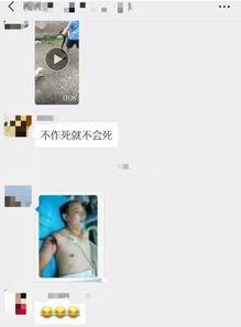 蛇叔爆料视频大全最新一期,一期视频大揭秘,热点事件全解析